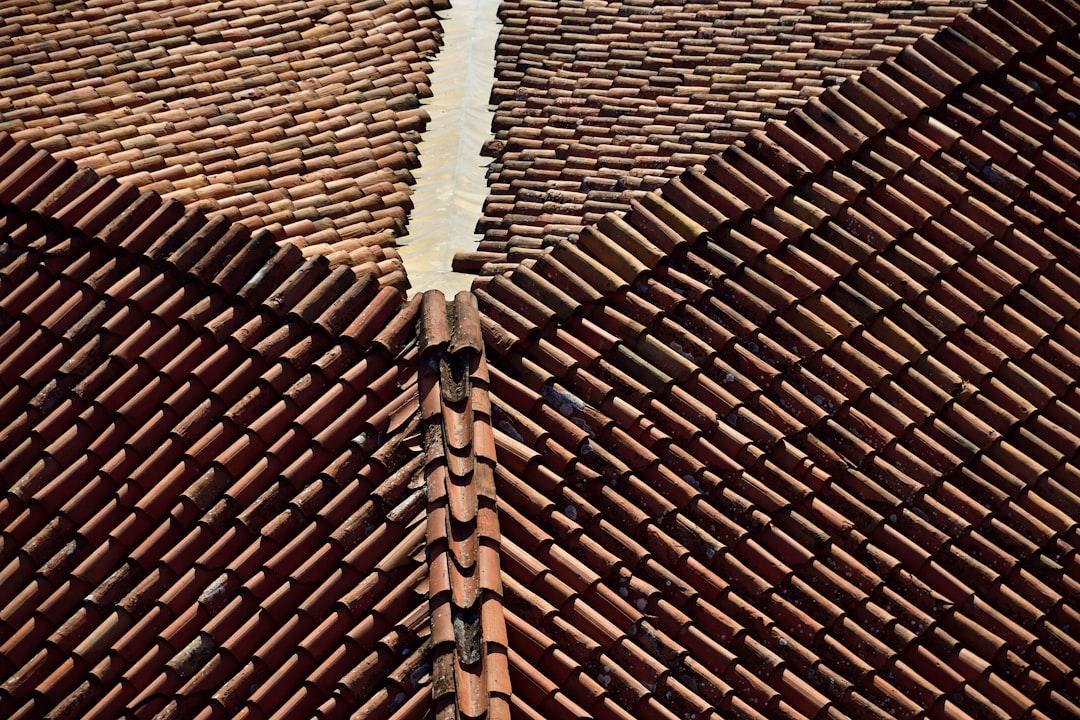 a close up of a snake