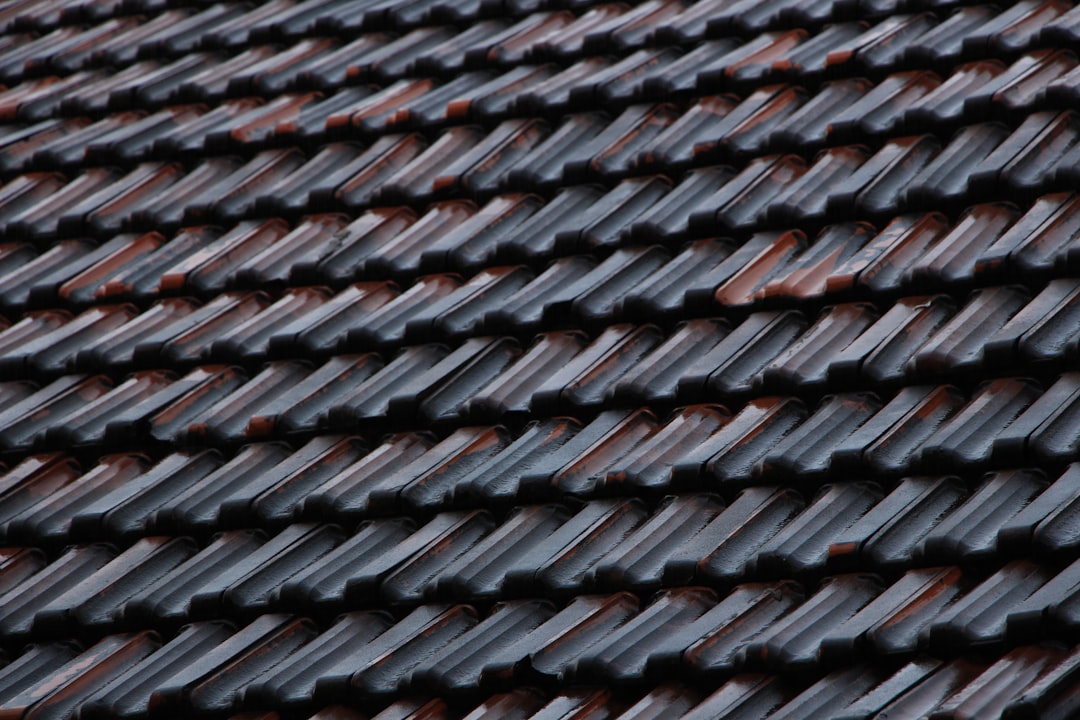 black and brown roof tiles