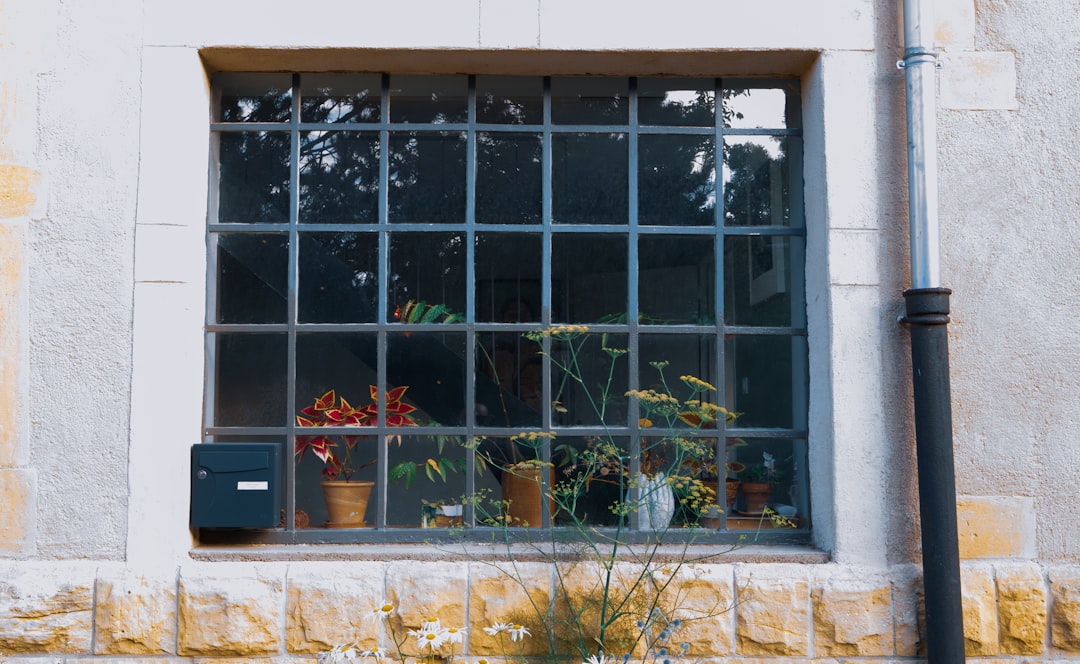 A window with a bunch of potted plants in it