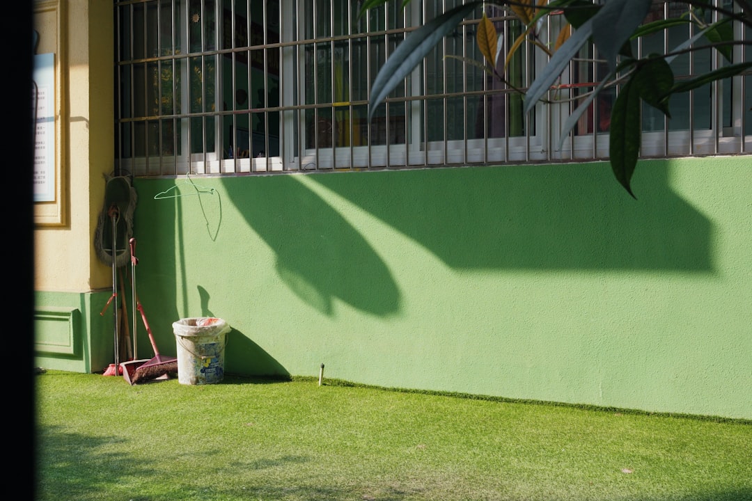 Green wall, window, grass, and shadows.