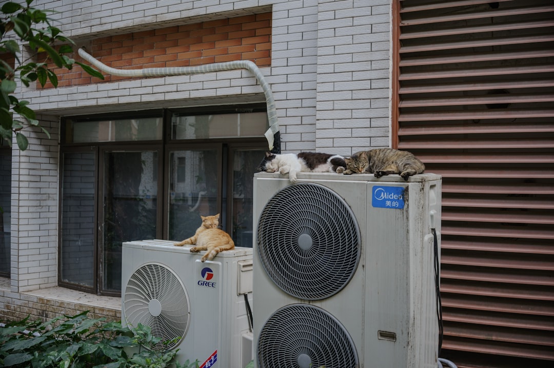 Cats relax on top of air conditioning units.