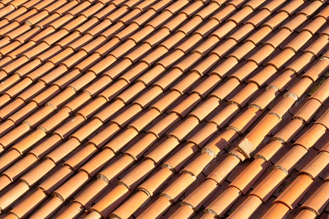 A close up of a roof made of clay tiles