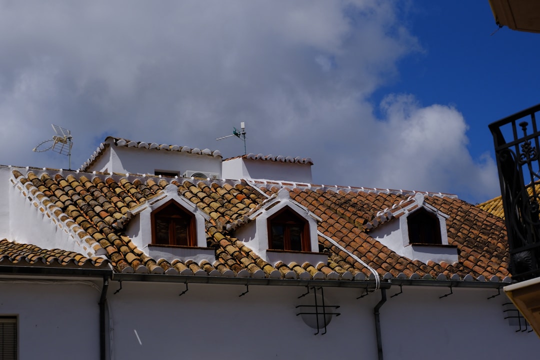 Rooftops with dormers sit under a cloudy sky.