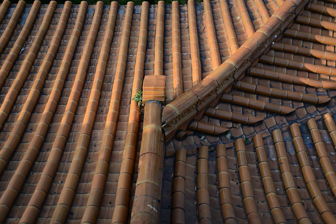 the roof of a building is made of clay tiles