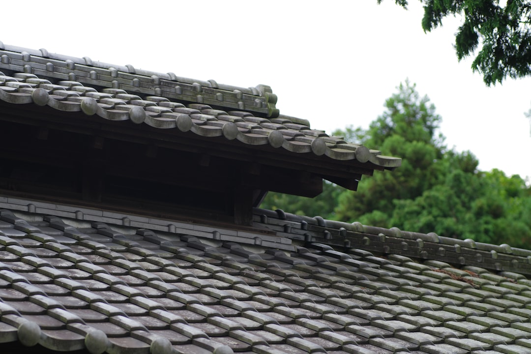 A close up of a roof with a tree in the background