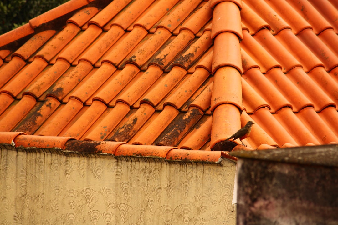 a bird is sitting on the roof of a building