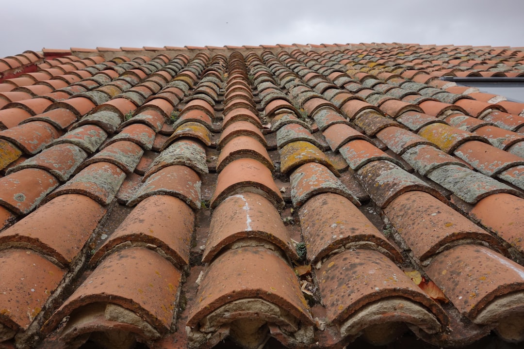 A close up of a roof with a sky background